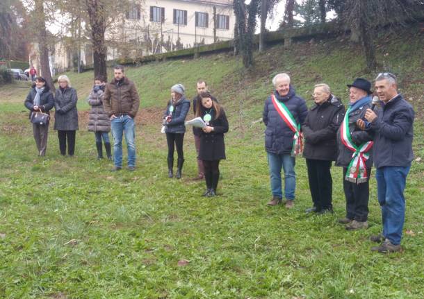 Festa degli alberi a Cazzago Brabbia