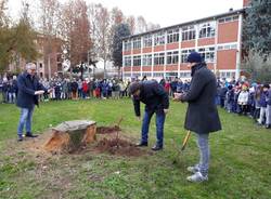 festa degli alberi busto arsizio 2018