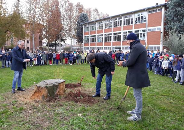 festa degli alberi busto arsizio 2018