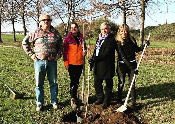 Angera: il primo “Walking tour dei laghi”