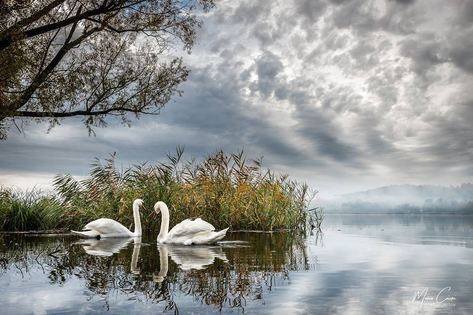 Foto del giorno novembre 2018