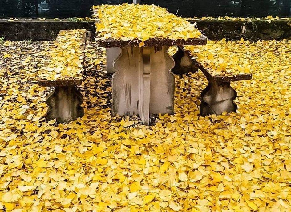 Foto del giorno novembre 2018