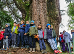 Gazzada Schianno: la Festa degli alberi 2018