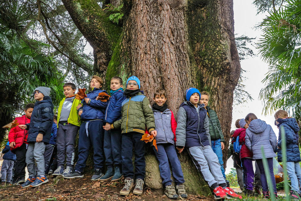 Gazzada Schianno: la Festa degli alberi 2018