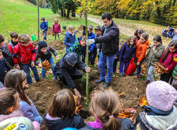 Gazzada Schianno: la Festa degli alberi 2018