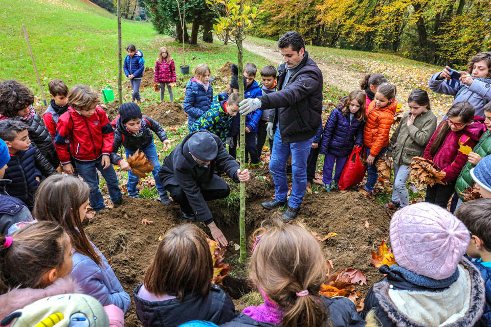 Gazzada Schianno: la Festa degli alberi 2018