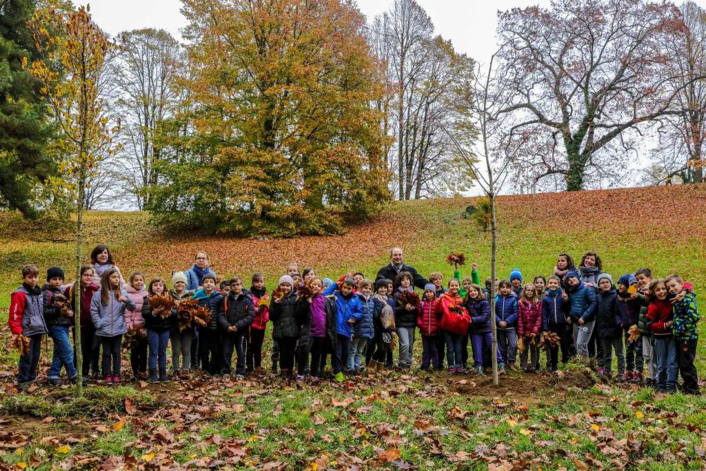 Gazzada Schianno: la Festa degli alberi 2018