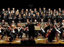 orchestra amadeus