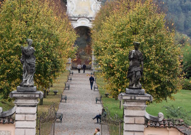 Giornata delle Camelie Villa Della Porta Bozzolo