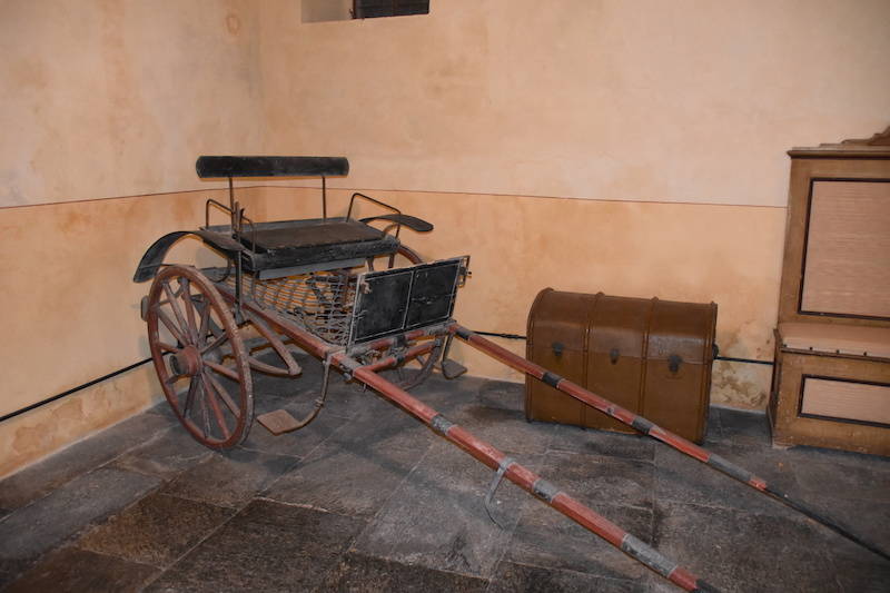 Giornata delle Camelie Villa Della Porta Bozzolo