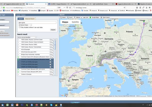 Gru migrazione nord italia