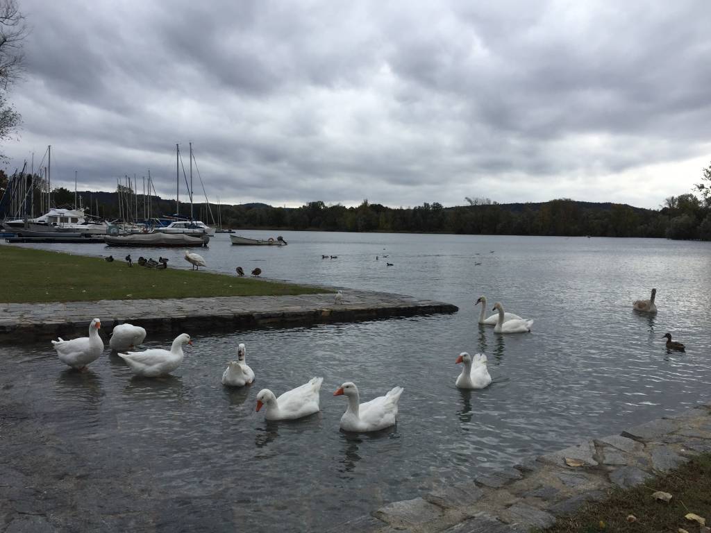 Il lago dopo la pioggia ad Angera e Ranco