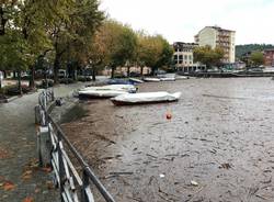 Il Lago Maggiore sempre più alto (foto del 2 novembre)