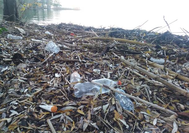 Il lago a Ispra restituisce rifiuti