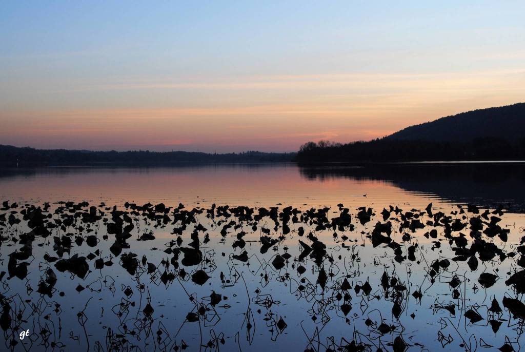 Lago di Varese 