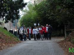 Le piante del Comitato Salviamo la brughiera