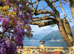 matrimonio bollywood villa del balbianello 