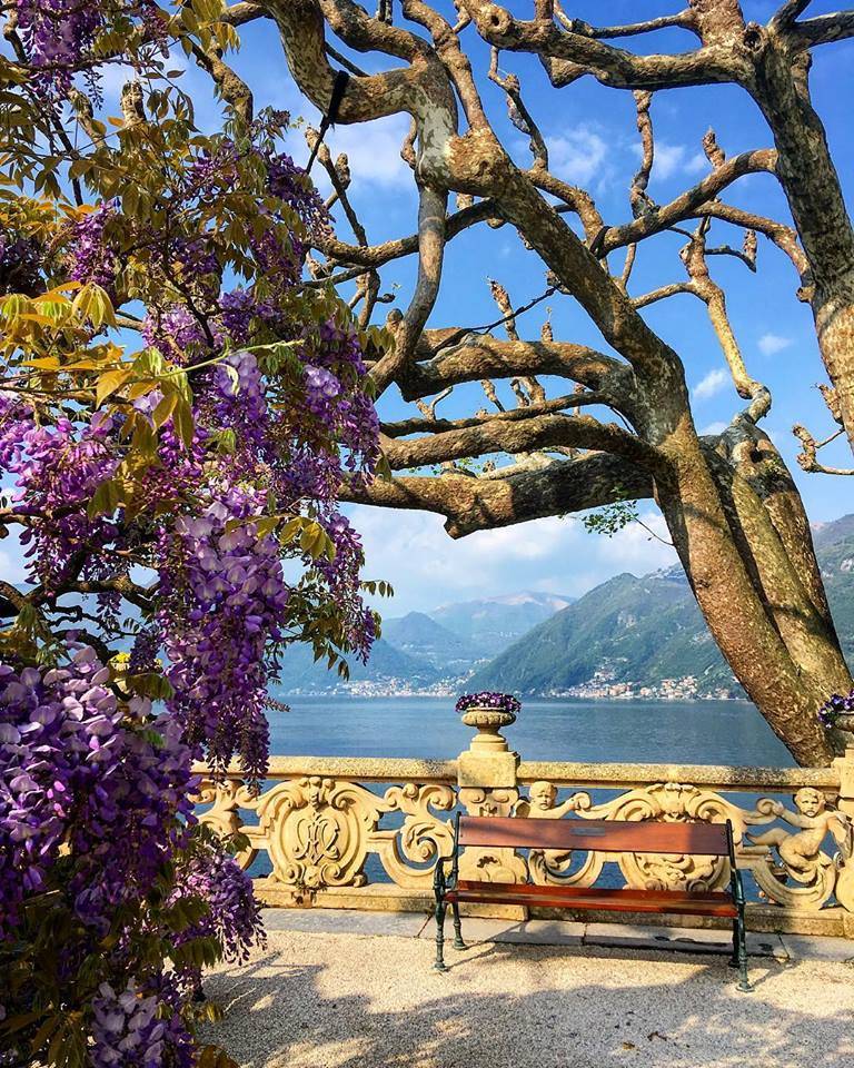matrimonio bollywood villa del balbianello 