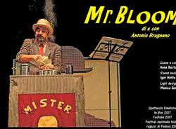 mr bloom