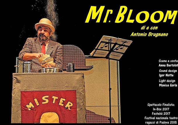 mr bloom