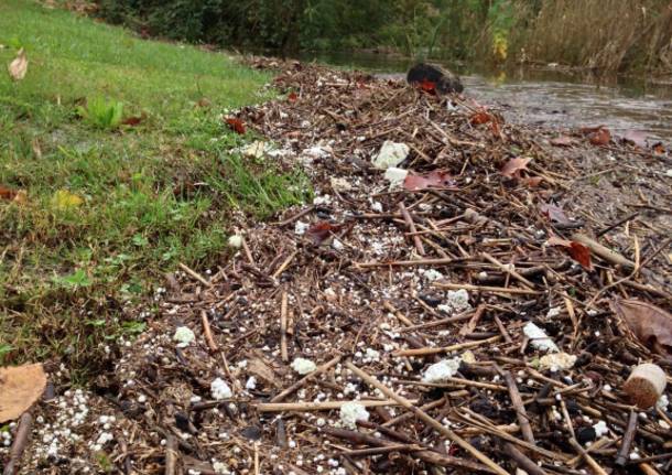 Polistirolo in riva al lago parco Europa sesto