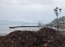 Pulizia del lago Maggiore a Laveno Mombello 