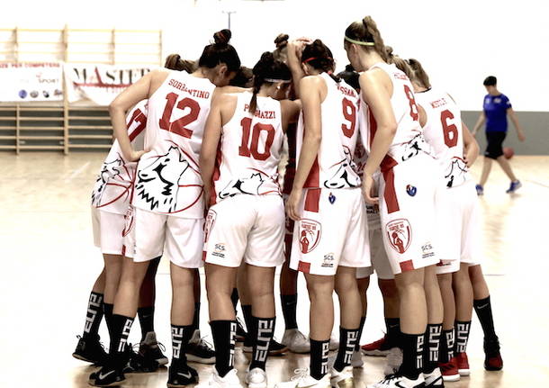 scs varese pallacanestro basket femminile