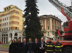 si monta l'albero di Natale