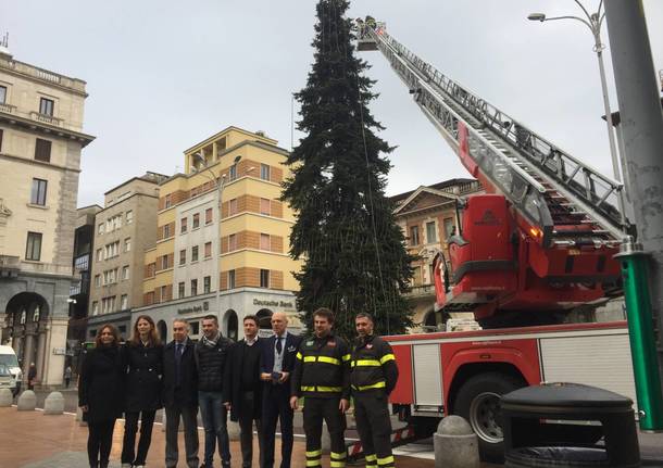 si monta l'albero di Natale