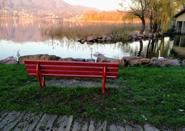 Una panchina rossa a Cazzago Brabbia