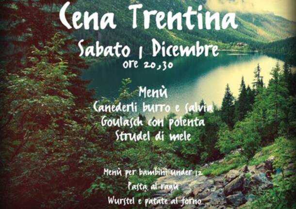 Dal vivaio Zenone di Mezzomerico gli alberi di Natale legnanesi