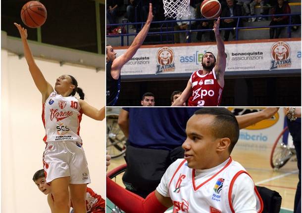basket knights scs cimberio