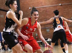 basket  pallacanestro femminile varese 95 francesca sorrentino