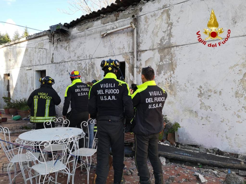Tre cani salvati dal crollo del terremoto
