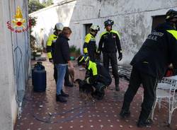 Tre cani salvati dal crollo del terremoto