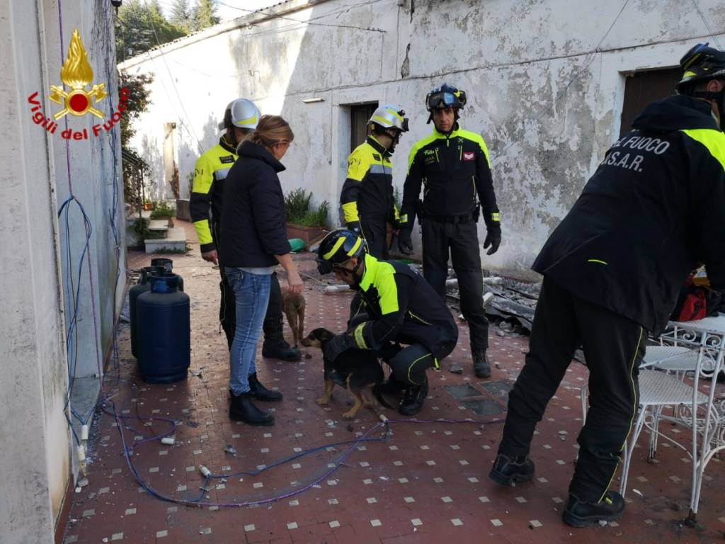Tre cani salvati dal crollo del terremoto