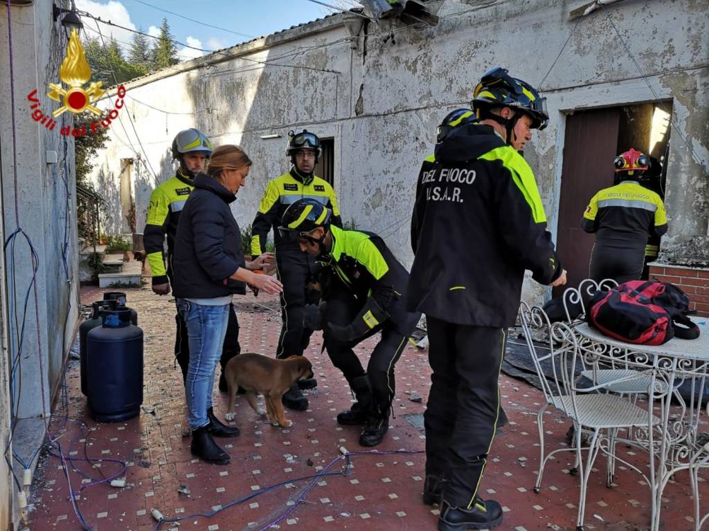 Tre cani salvati dal crollo del terremoto