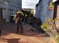 Tre cani salvati dal crollo del terremoto