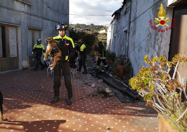 Tre cani salvati dal crollo del terremoto