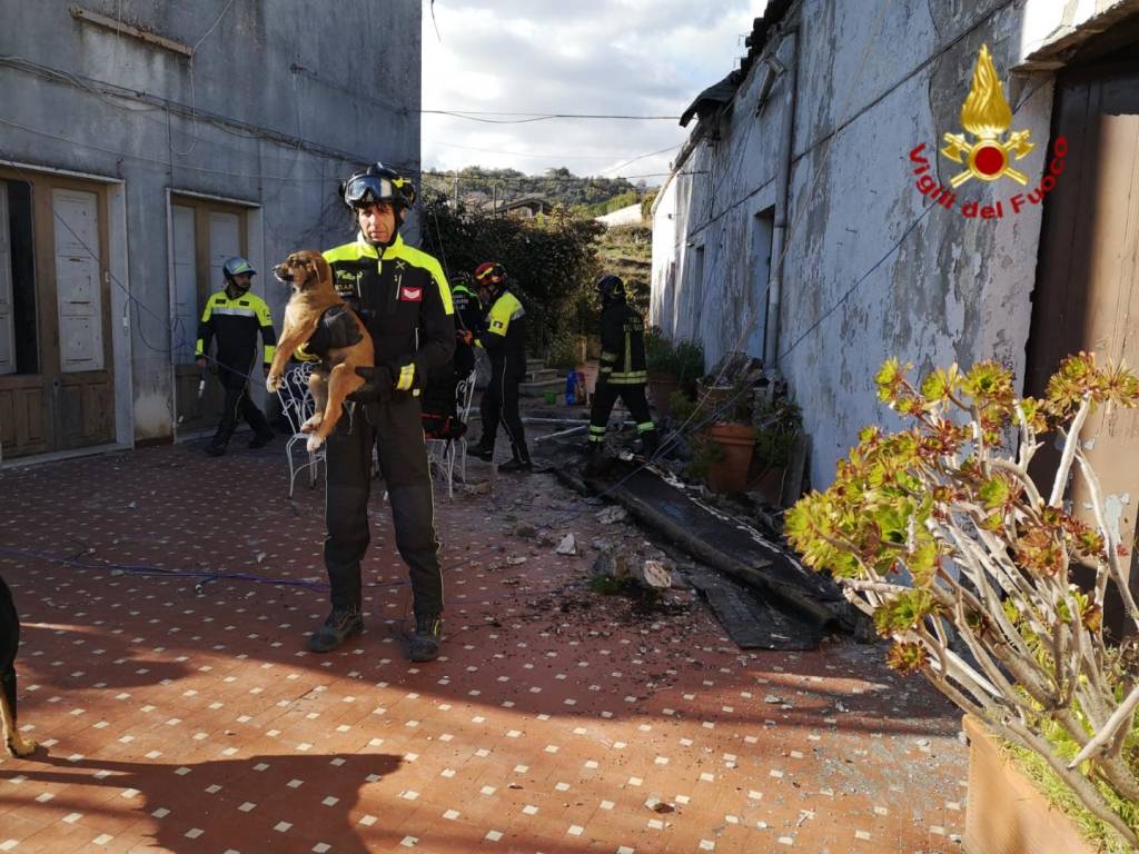 Tre cani salvati dal crollo del terremoto