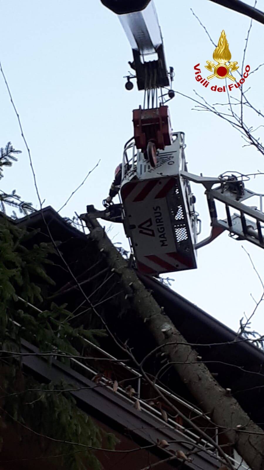 L\'abete si appoggia il condominio