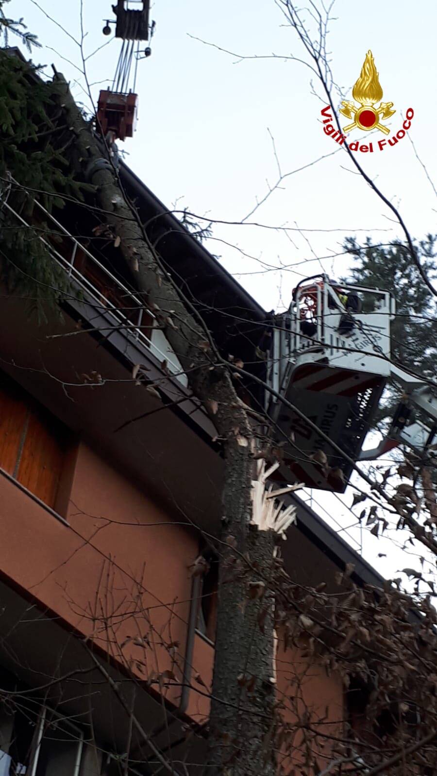 L\'abete si appoggia il condominio