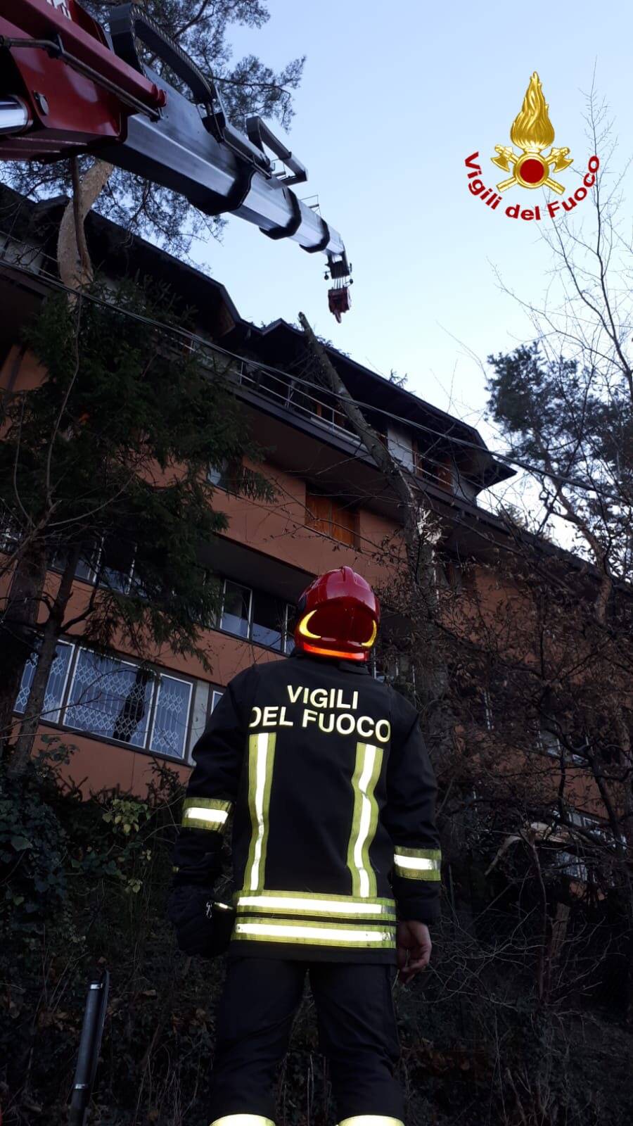 L\'abete si appoggia il condominio