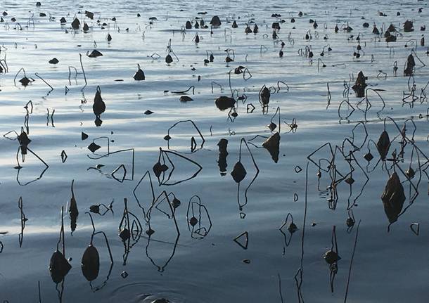 Il lago d’inverno