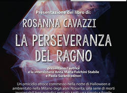 La perseveranza del ragno