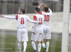 Varese - Accademia Pavese 3-0