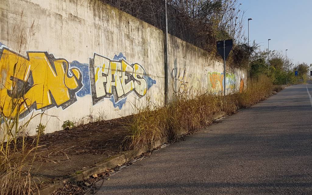 Zona Frati-Stadio DEGRADO E IMMONDIZIA