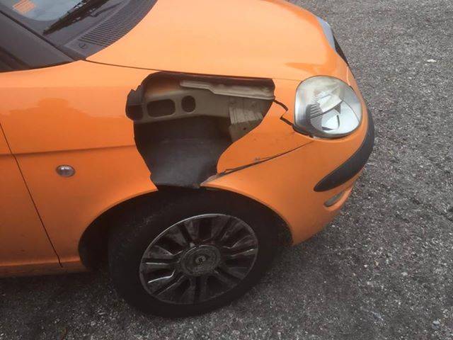 Scontro auto - cervo a Gornate Olona