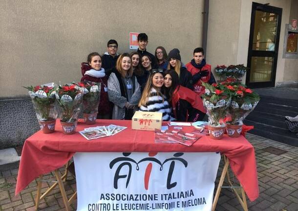 CIOFS Castellanza, la via salesiana dopo la terza media