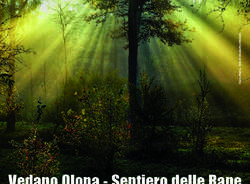 parco pineta